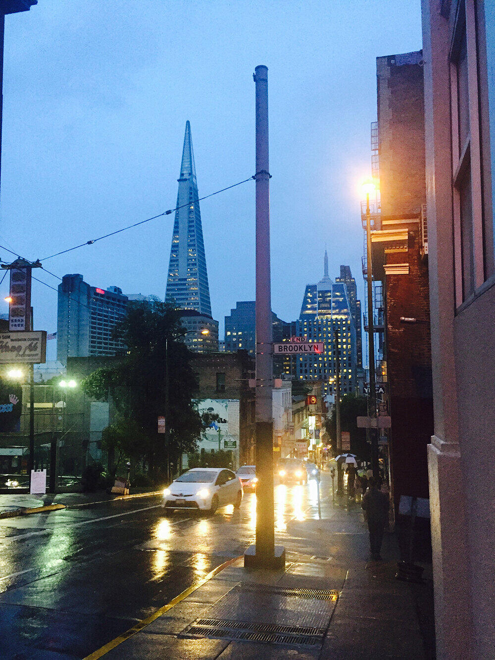 About Berkeley Hills Press