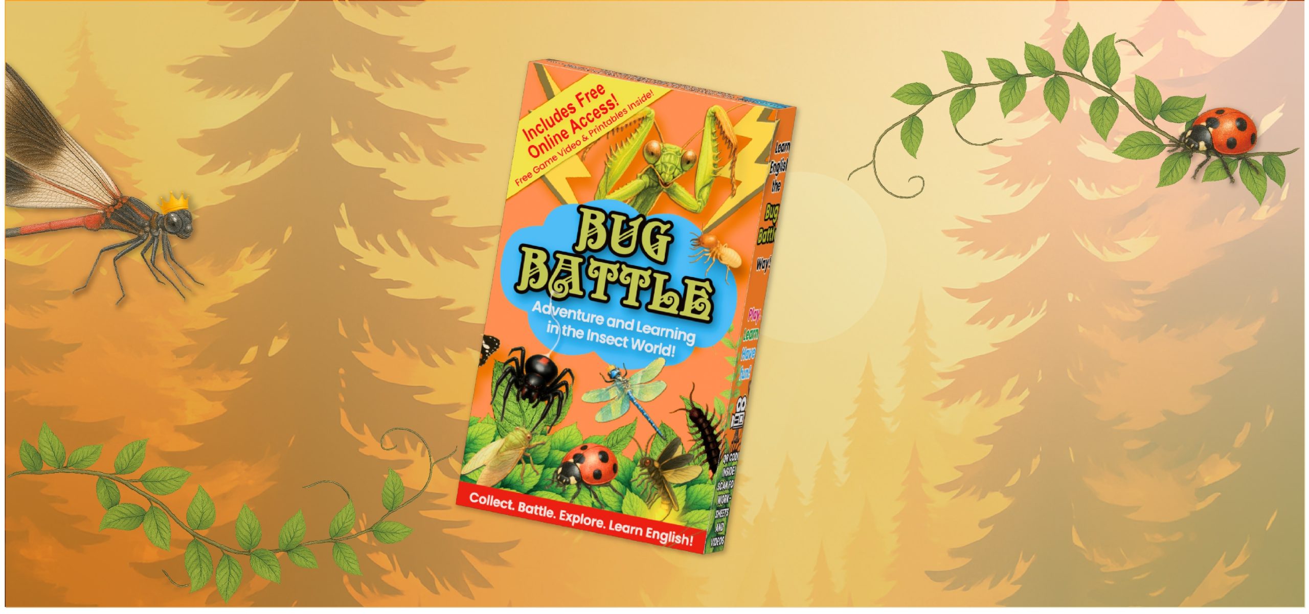 Beginner English Program Box