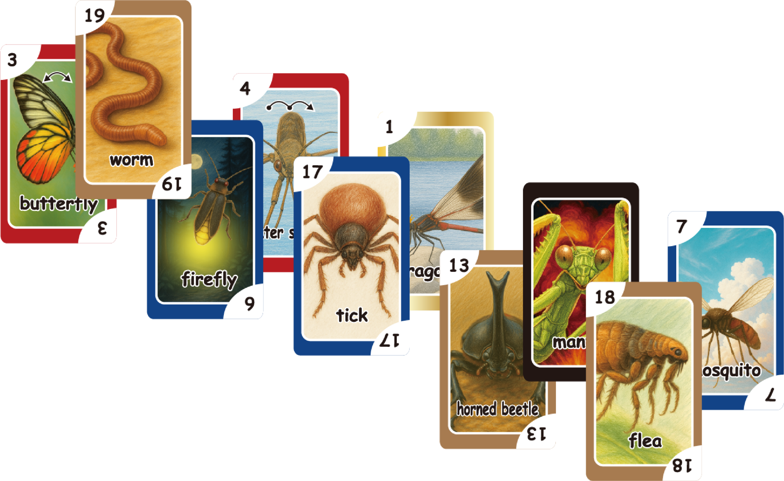 Bug Battle Card Game