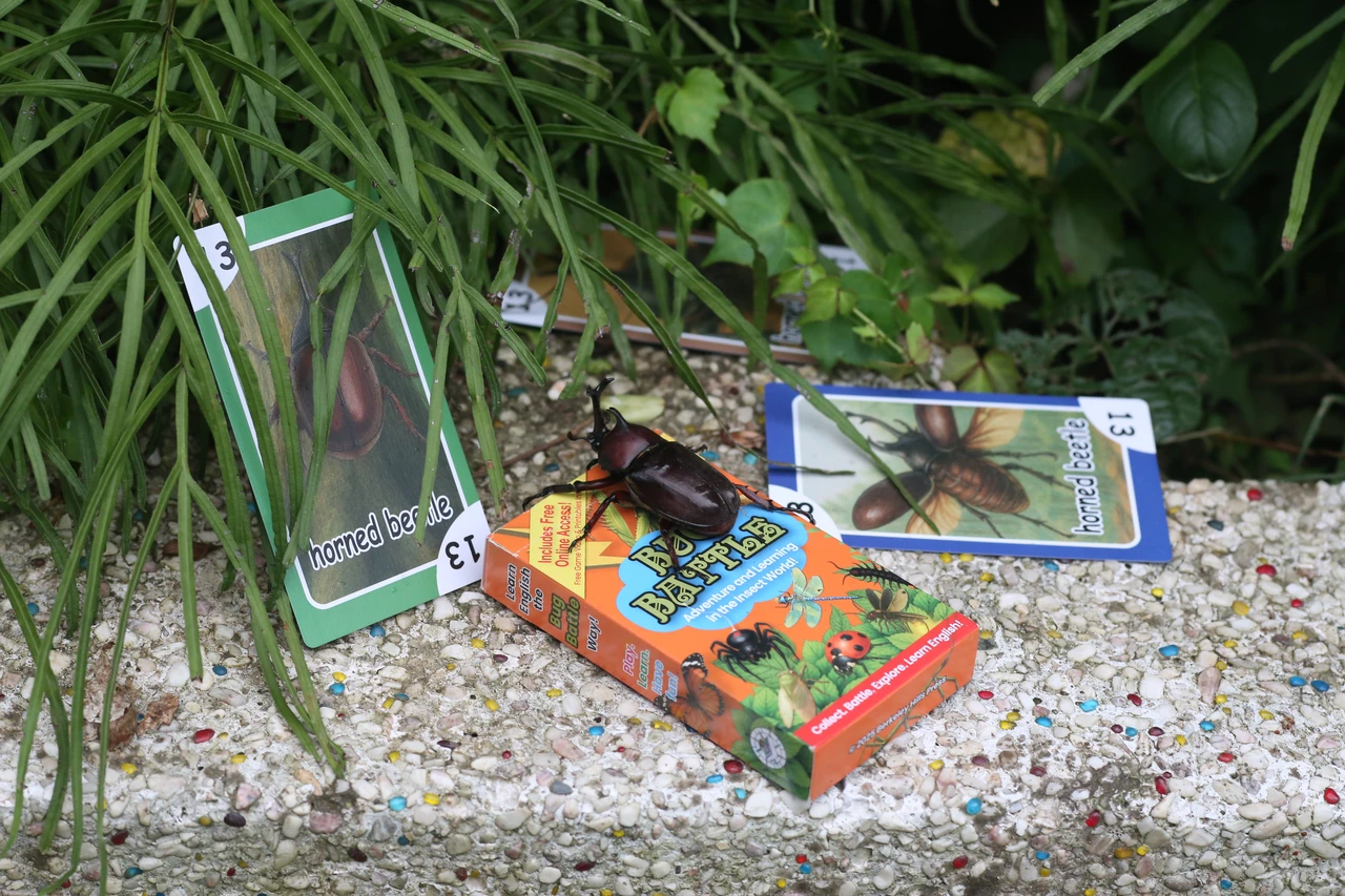 Kids playing the Bug Battle card game