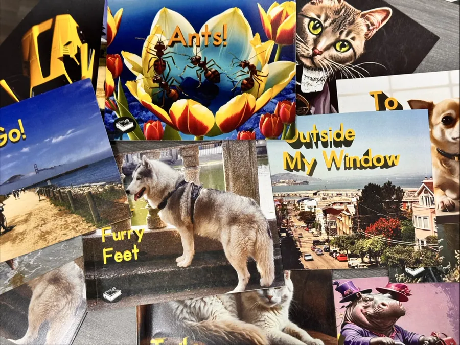 Illustration of Kirsten and a moose